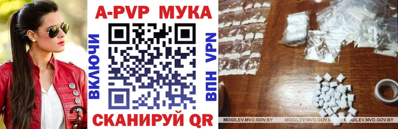 Альфа ПВП СК КРИС Ивангород