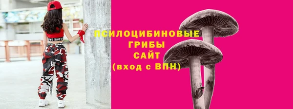 спиды Алексин