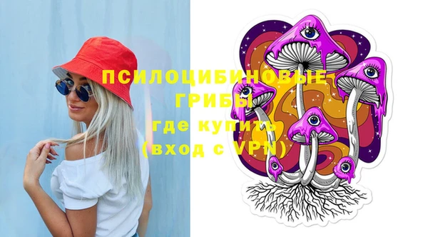 мдпв Абинск